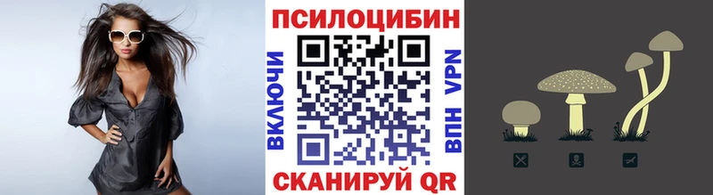 Псилоцибиновые грибы MAGIC MUSHROOMS Луга