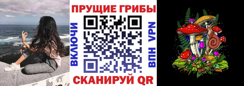 Галлюциногенные грибы MAGIC MUSHROOMS  Купить где  Луга 