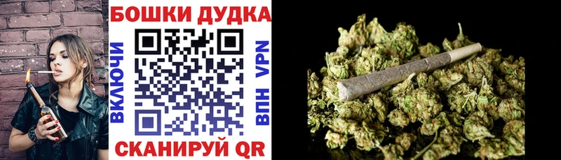 Конопля AK-47 Купить закладки Луга